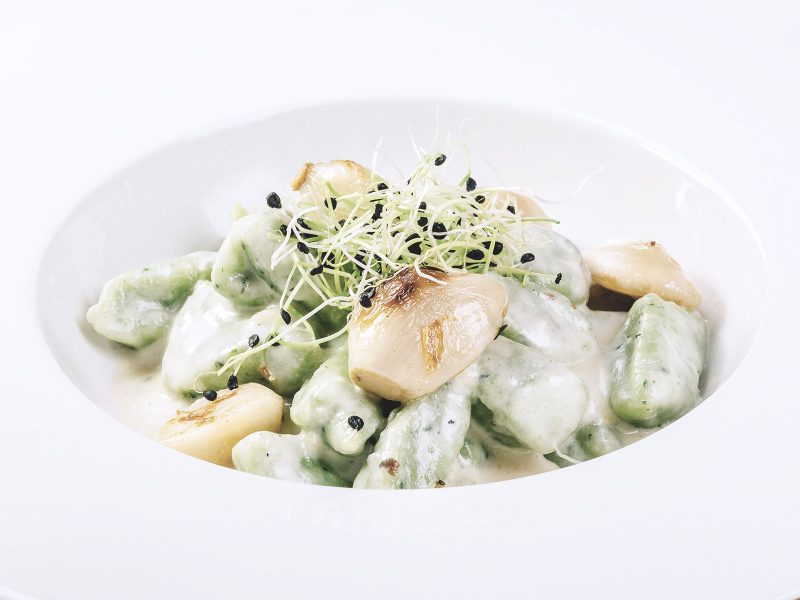 Potato gnocchi in gorgonzola cheese and roquet sauce